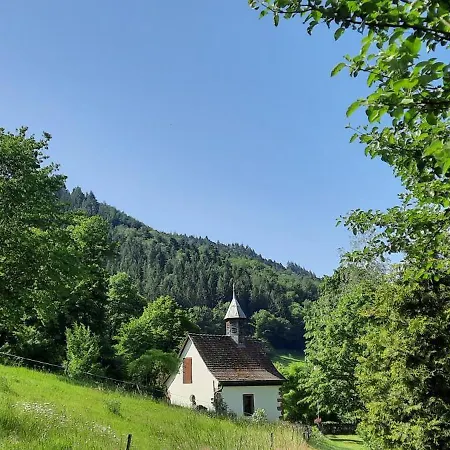 Apartment Heimatglueck 1 Lautenbach